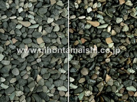 坟上不长草后代必出,第7张 坟上不长草后代必出,第7张